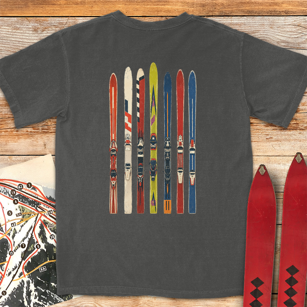 Ski Fence