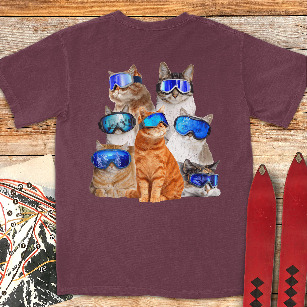 Cats