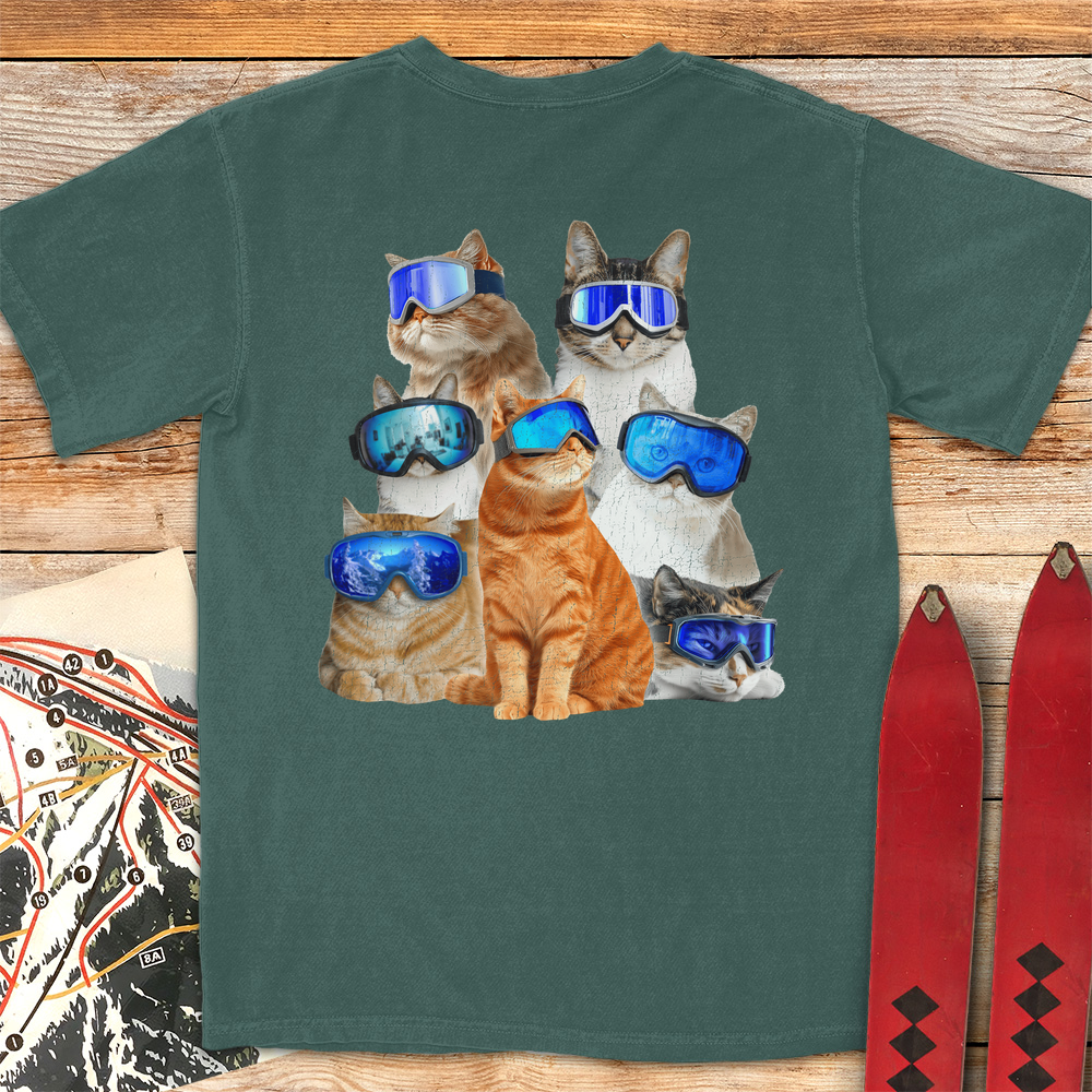 Cats