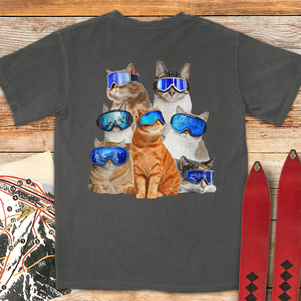 Cats