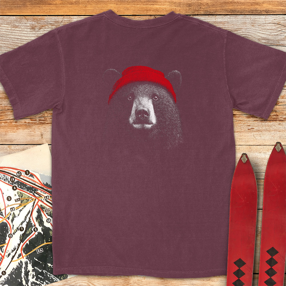 Beanie Bear