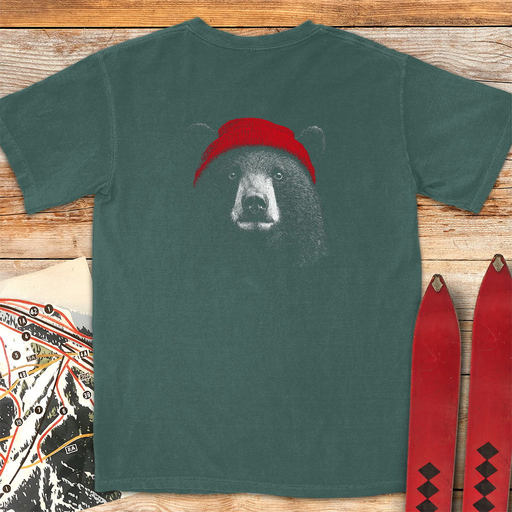 Beanie Bear