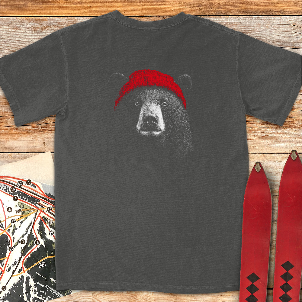 Beanie Bear