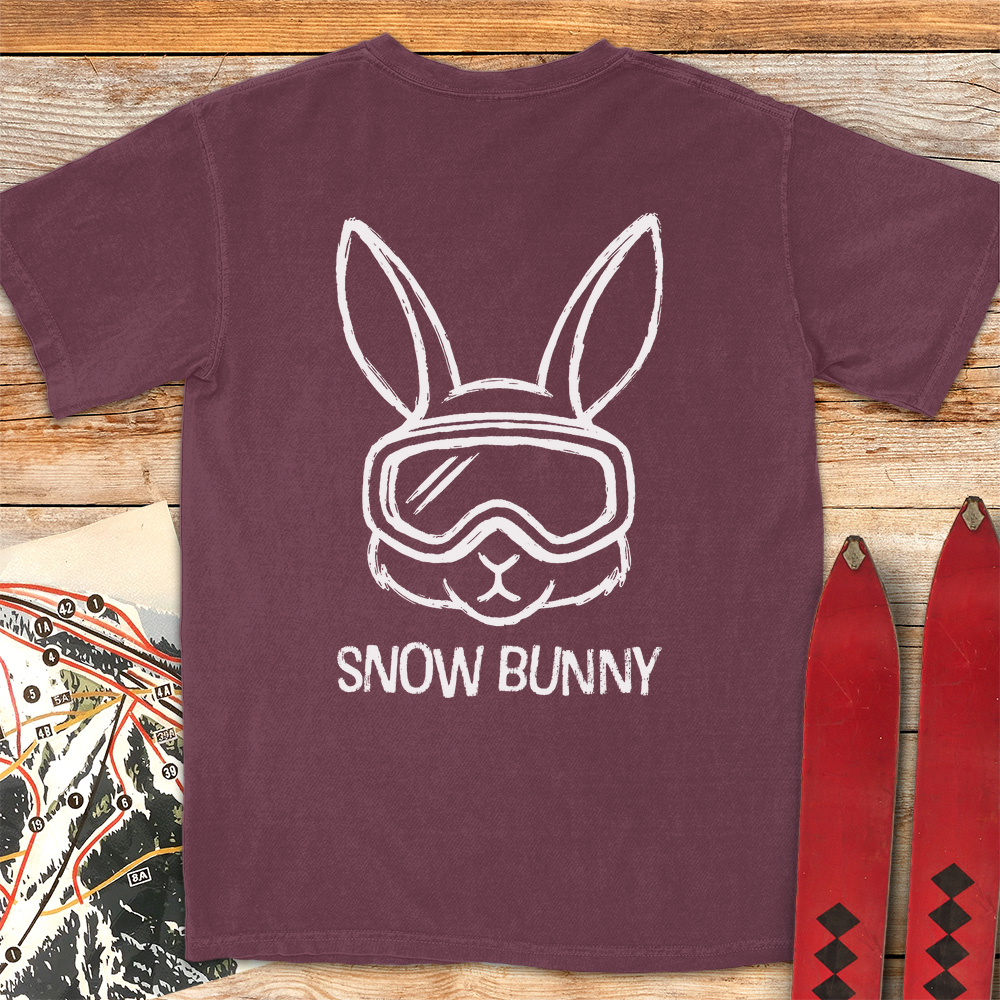 Snow Bunny