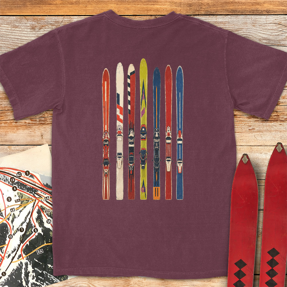 Ski Fence