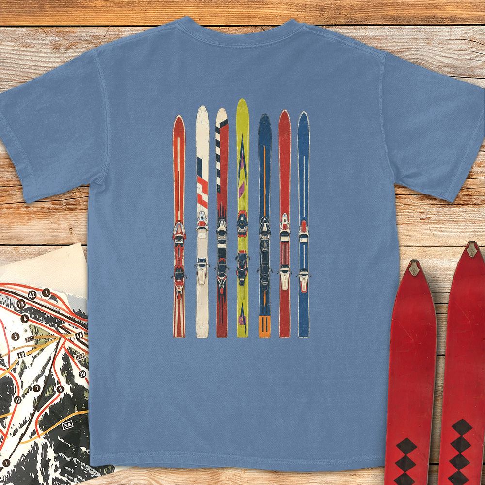 Ski Fence