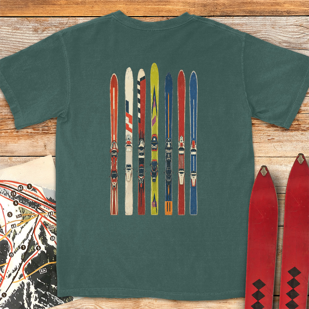 Ski Fence
