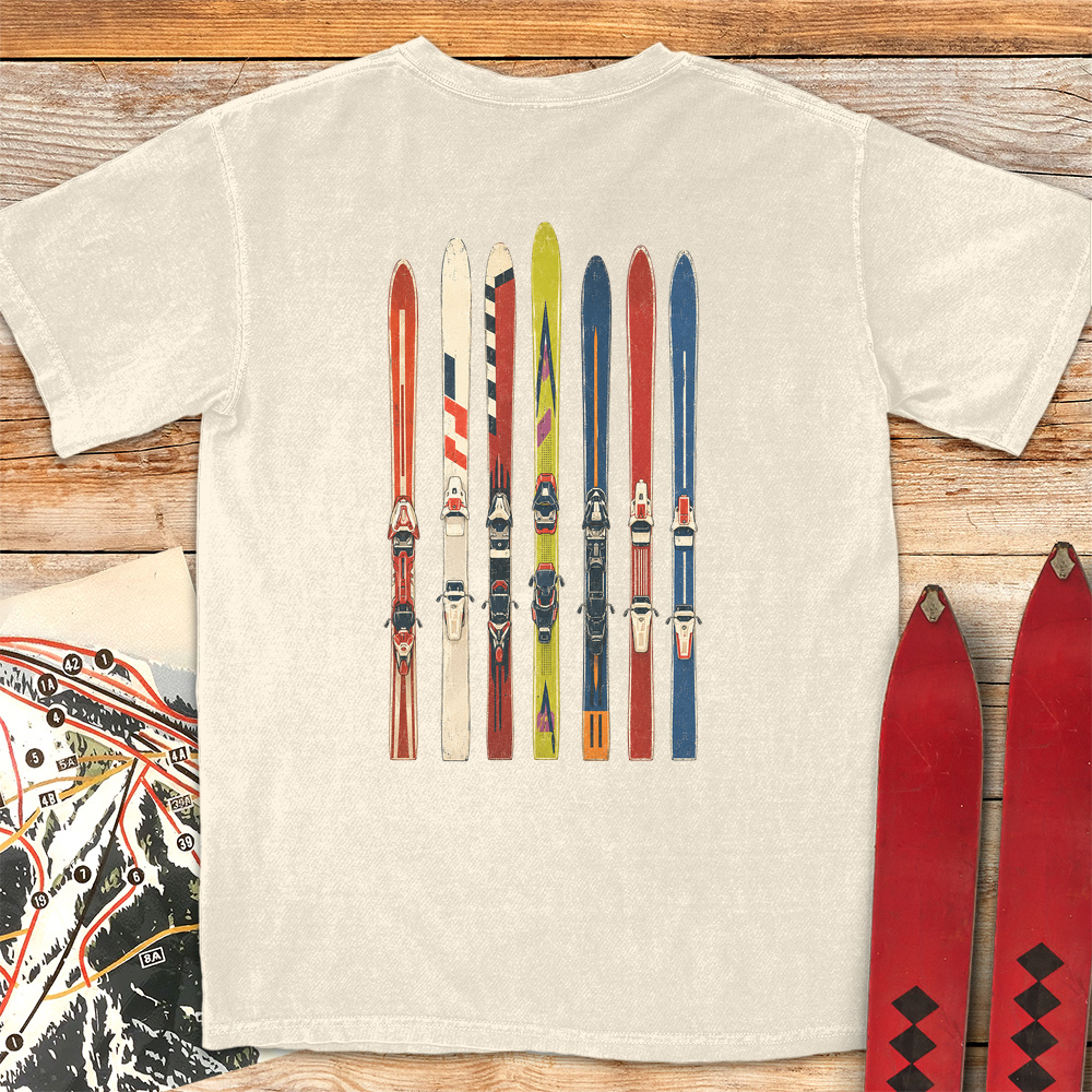 Ski Fence