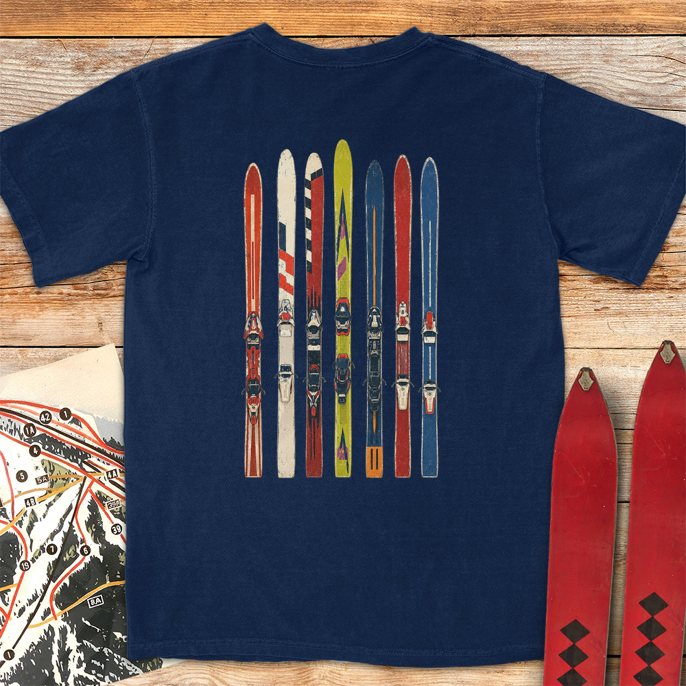 Ski Fence