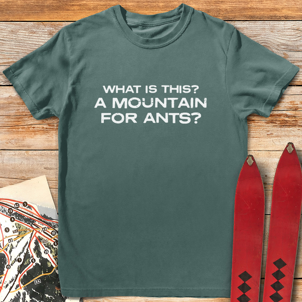 Mountain For Ants