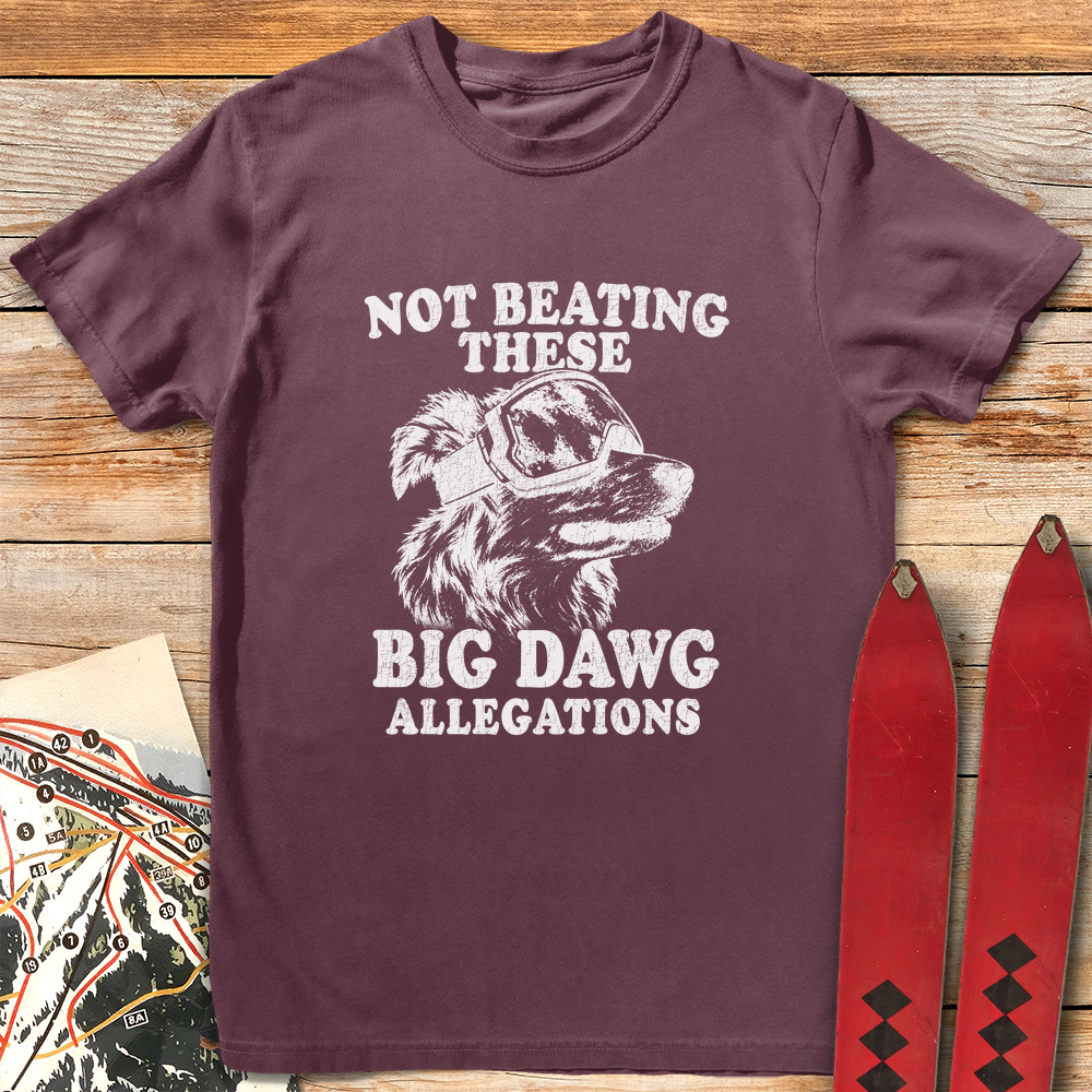 Big Dawg Allegations