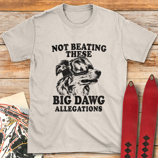 Big Dawg Allegations