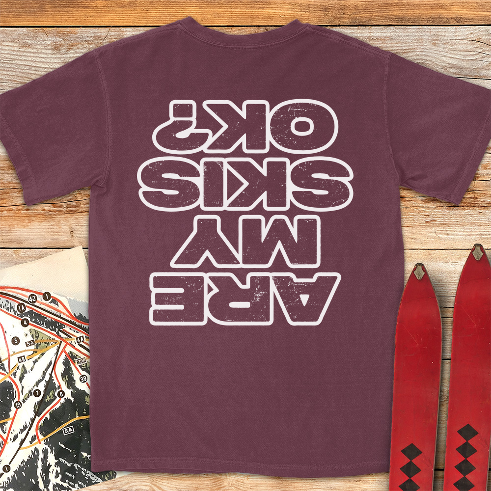 Are My Skis OK