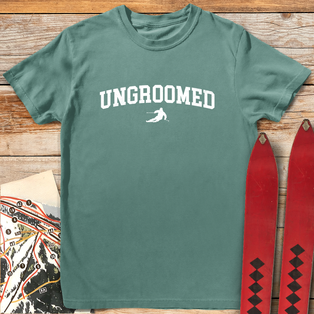 1161 Ungroomed White - Light Green