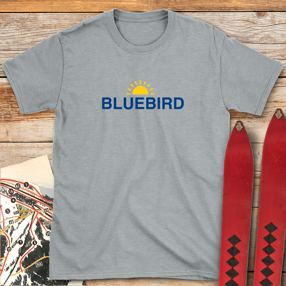 1009 Bluebird Sun White - Sport Grey